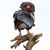 Jaber Yesu's profile image