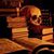 Carol Kenney's profile image