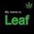Leaf Bohler's profile image