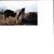 Sharon Hays's profile image