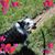 Joanie Shehan Moczkowski's profile image