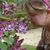 Tina Marie Skelton Bambard's profile image