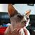 Tonia Lancaster's profile image