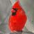 Amy Parham Watson's profile image