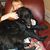 Becki Becker Jenkins's profile image