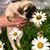Venice Dizon's profile image