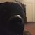 Glenda Woodrow's profile image