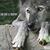 Angie Hill Salmon's profile image