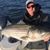 Lyle Messinger's profile image