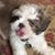 Martha Thompson Campbell's profile image