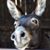 Ronnie Lee Michael's profile image