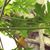 Anjela Lynn-Marye's profile image