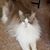 CherylEli Croft's profile image