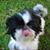 Rusty Witte's profile image