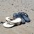 Anita Capps Erwin's profile image