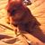 Tibbs Kitchen's profile image