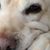 Diane Rood's profile image