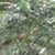 Franclin Carias Marroquin's profile image