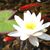 Kendra Boutin's profile image