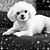 Erika Ropke-Polanis's profile image