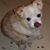 Vicki Malone's profile image