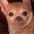 Donna Reilly Blanchard's profile image