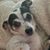 Anita Powell McKenzie's profile image