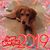 Kim Donnan-Goltermann's profile image