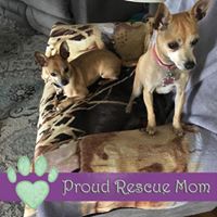 Sherrie Niles's profile image