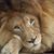 Bill Wendt's profile image