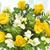 Suzanna Lopez's profile image