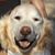 Bonnie Sceva Jamison's profile image