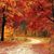 Melissa Boll Endredy's profile image