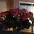 MaryAnn Sabina Burrell's profile image