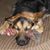 Patti Henker's profile image