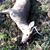John Walraven's profile image