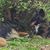 Linda Boyce's profile image