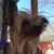 Christine Divido-Ingalls DiRienzo's profile image