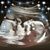 Kimberly Buchanan's profile image