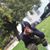 Murdamall Quante's profile image