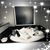 Lisa Soward's profile image