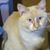 June Sousa's profile image