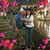 Zelenia Clarke's profile image