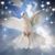 Jose Luis Gutierrez's profile image