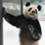Sandie Magnano's profile image