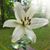 Kelley Michele's profile image