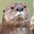 Nancy Rierson's profile image