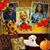 Terry Folden's profile image