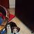 Dottie McCarty's profile image