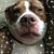 Michele Wayne Bricker's profile image